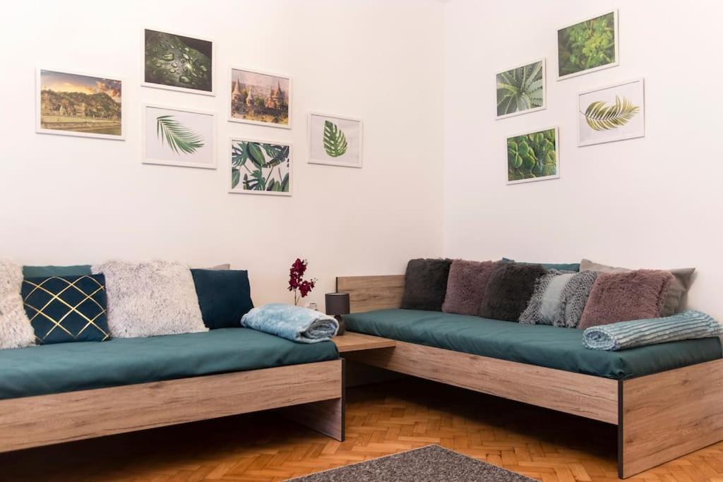 Central Buda Comfort